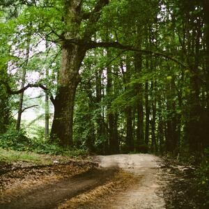 MCP CSRF test 130546